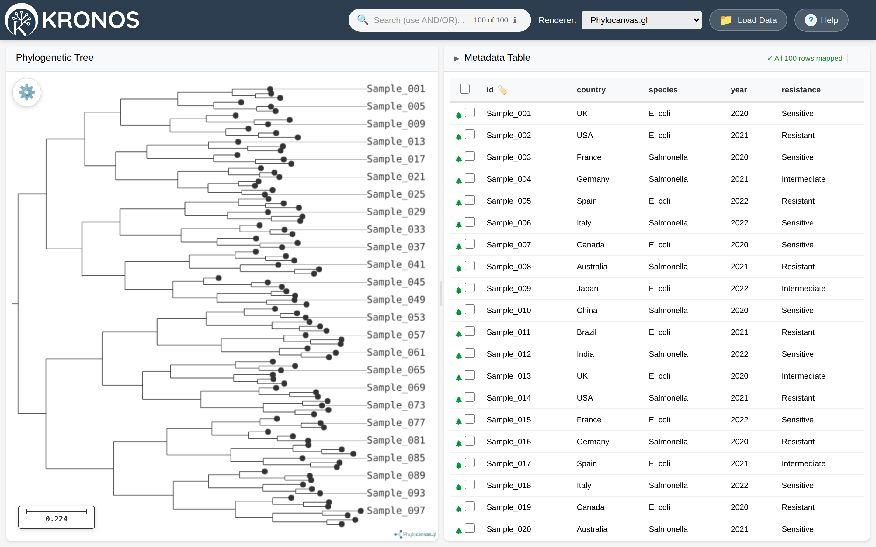 Kronos on first load, showing the demo phylogenetic tree on the left and the sample metadata table on the right
