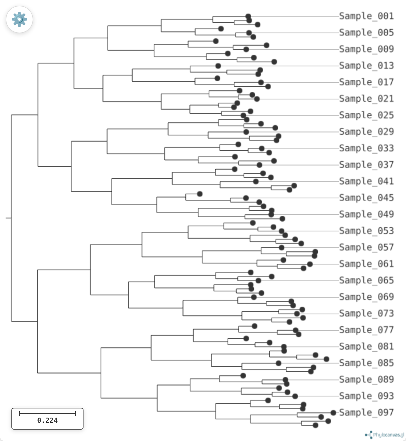 The demo tree drawn by the Phylocanvas.gl WebGL engine, with its own built-in gear menu