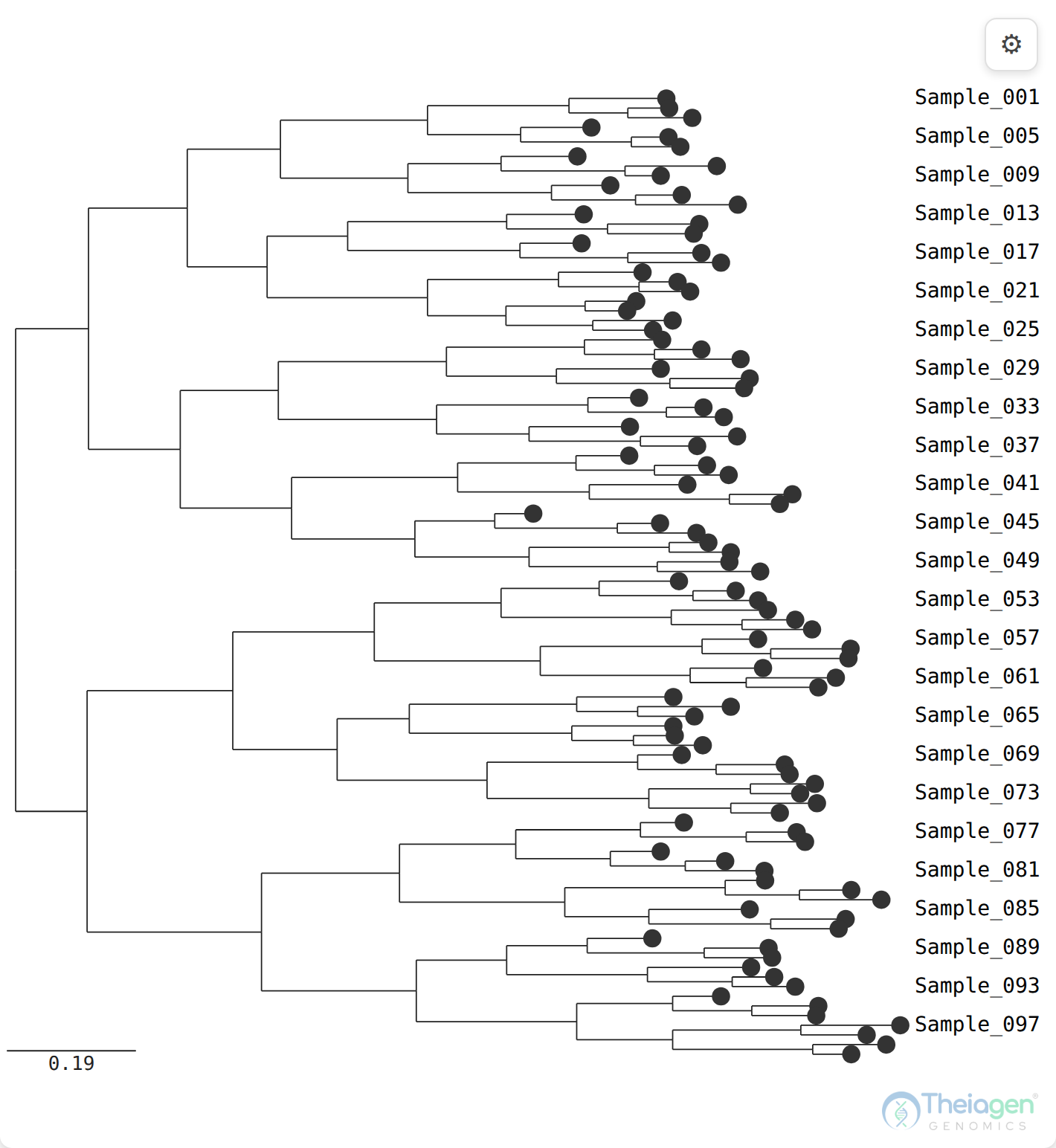The same demo tree drawn as SVG by TheiaPhyloViewer, with the gear Appearance button at the top-right
