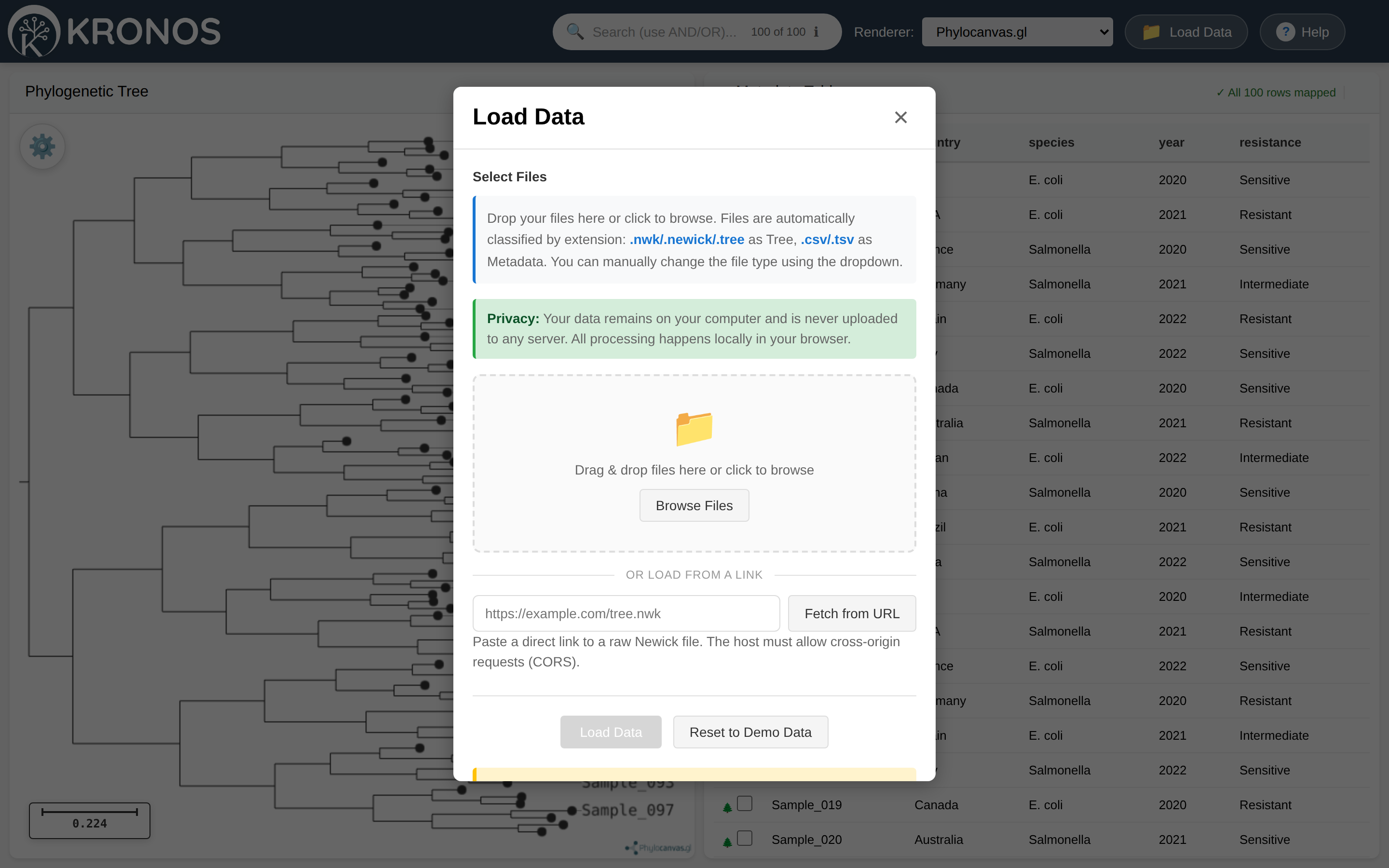 The Load Data dialog, showing accepted file types, a drag-and-drop zone, an "or load from a link" URL field, a privacy note, and Reset to Demo Data
