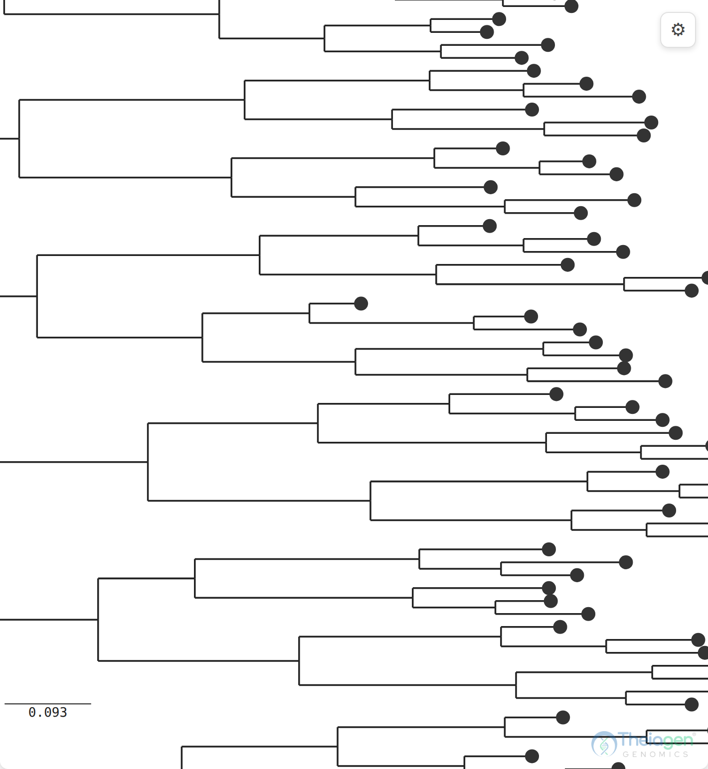 The same SVG tree zoomed in to part of its structure, with enlarged tip markers and only a portion of the tree in view