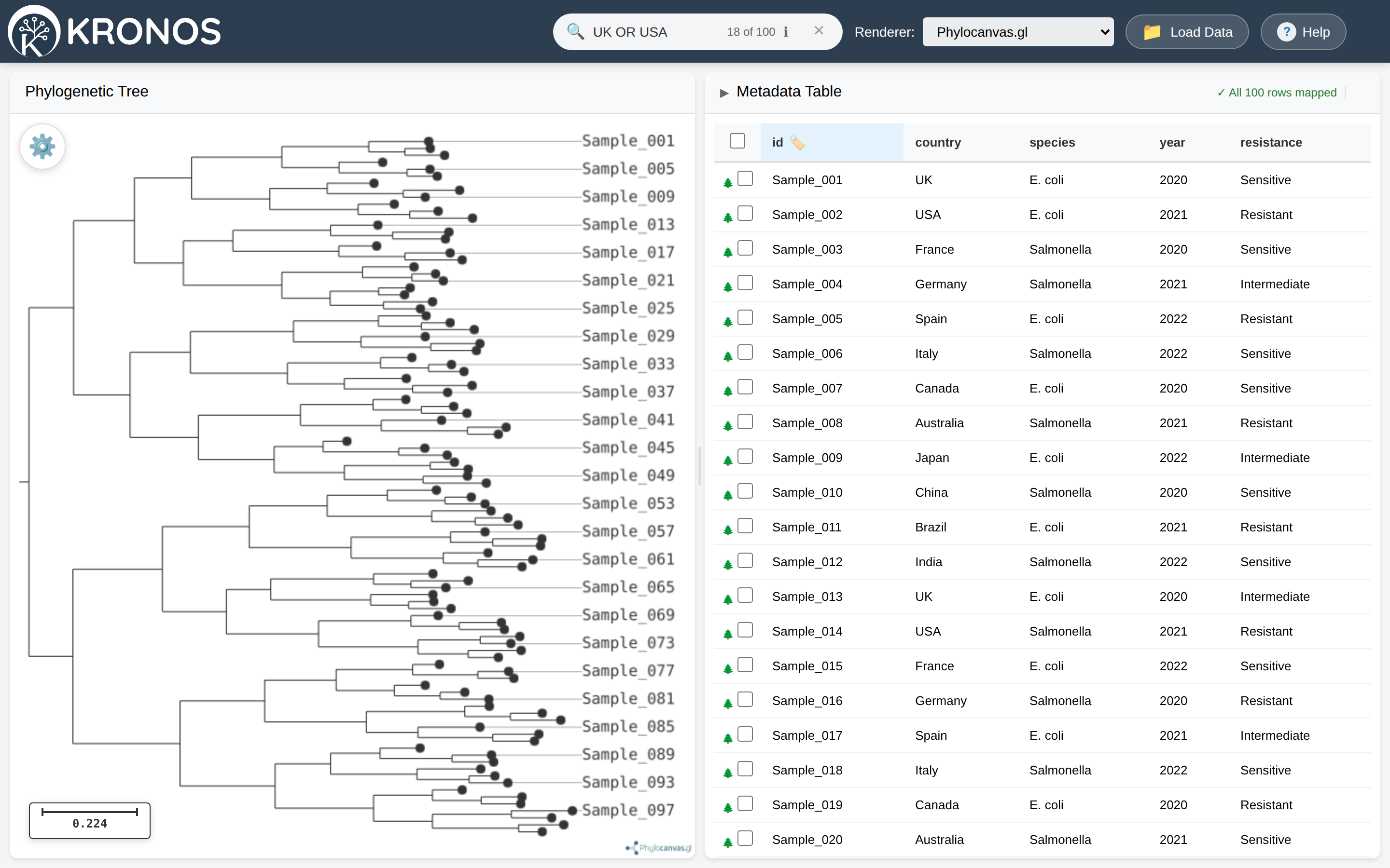 A search for UK OR USA matching 18 of 100 samples, with the matching tips highlighted in the tree