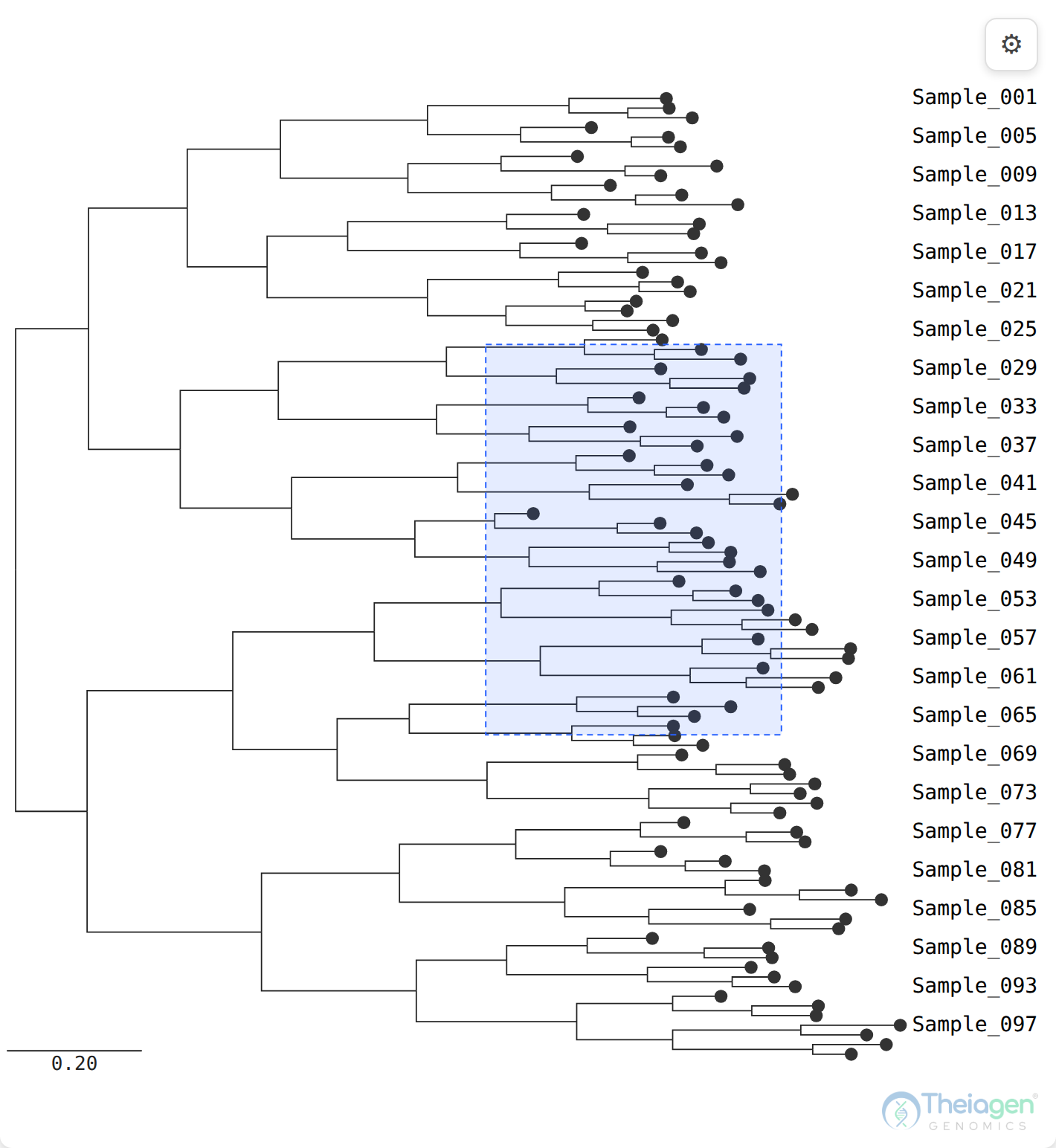 The SVG tree with a dashed-blue rectangle dragged over a cluster of tips, every enclosed tip selected on release