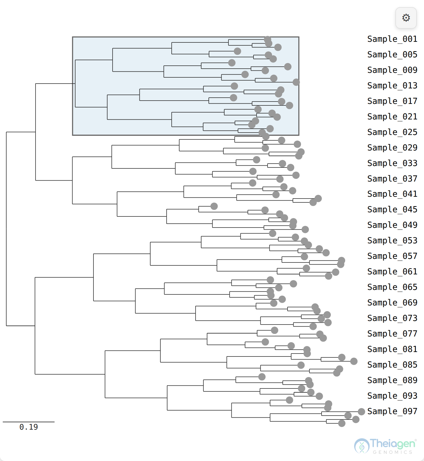 A rectangular SVG tree, branches reading left to right, with one clade highlighted by a translucent box behind its tips