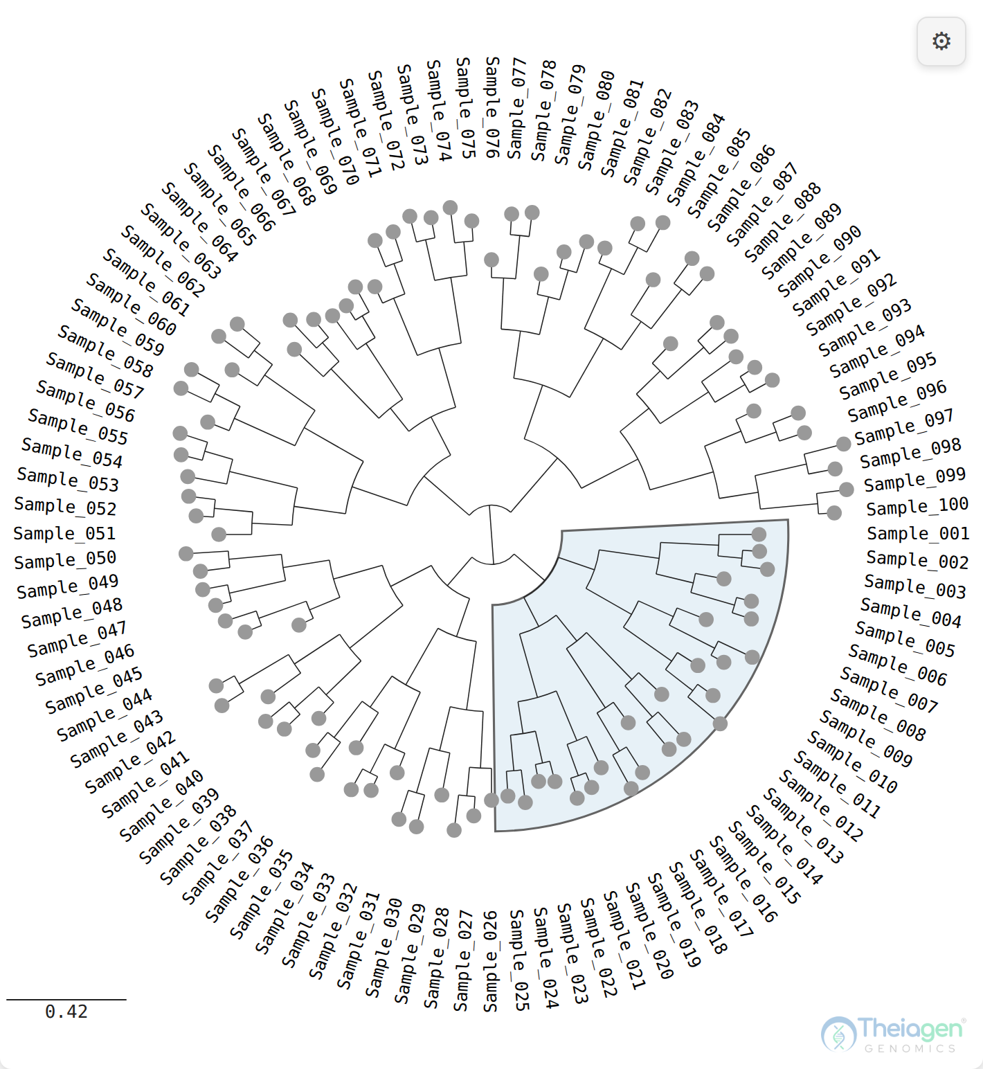 The same tree in circular layout, branches sweeping around a ring, the highlighted clade wrapped into a wedge