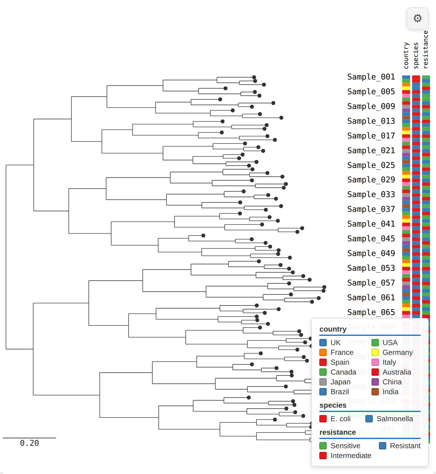 The SVG tree with three metadata columns — country, species and resistance — drawn as coloured blocks beside the tip labels, and a bottom-right legend mapping each block colour to its value