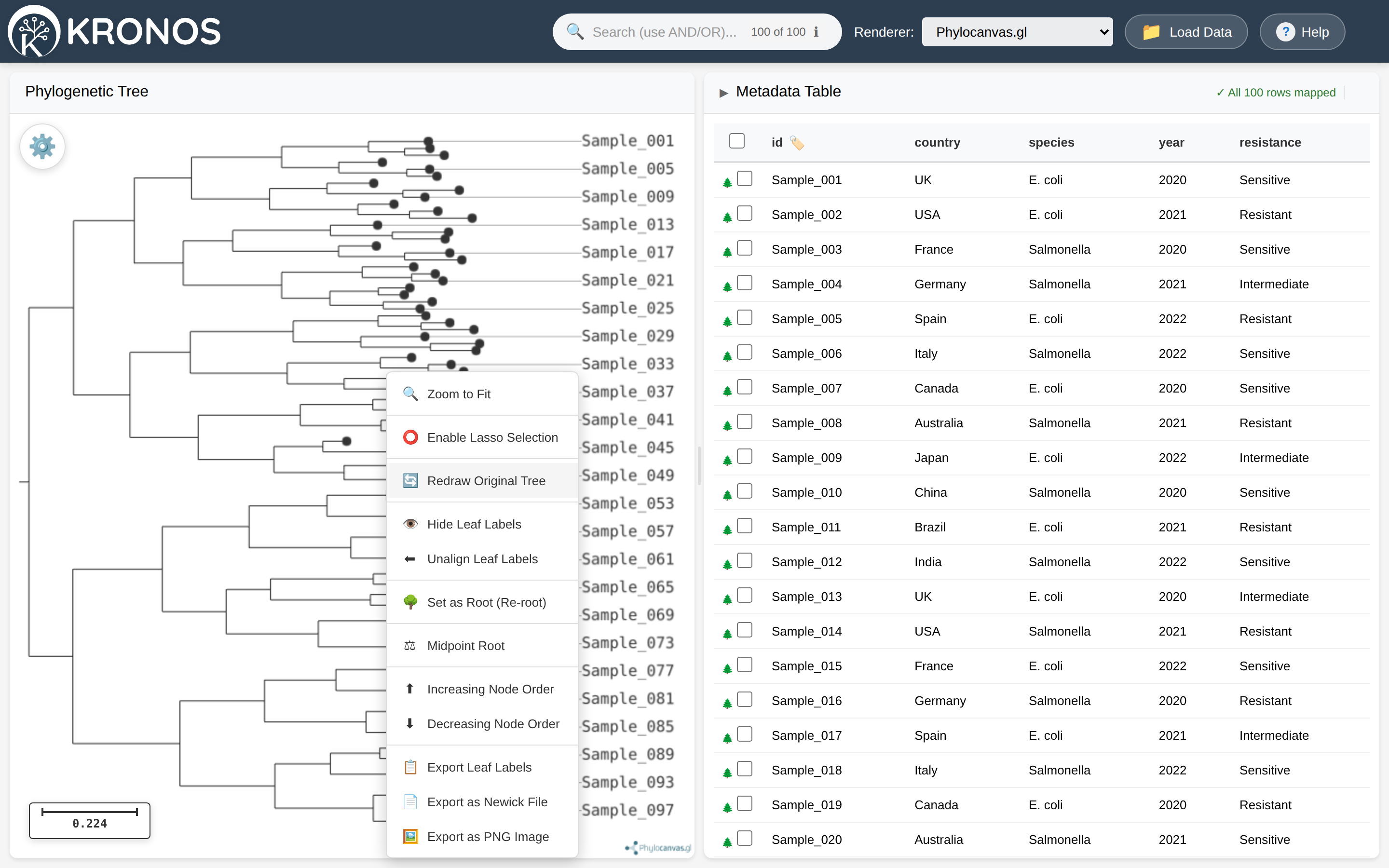 The Phylocanvas.gl right-click menu with Zoom to Fit, lasso selection, re-root, node-order and export options
